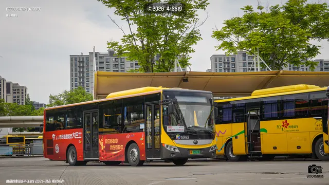 800BUS