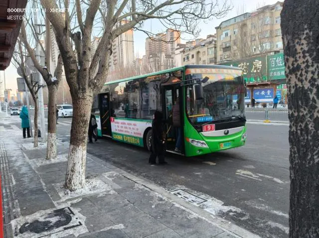 800BUS