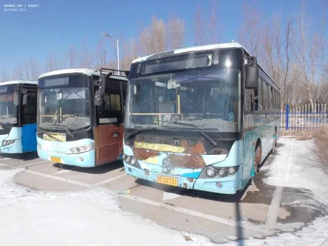 800BUS