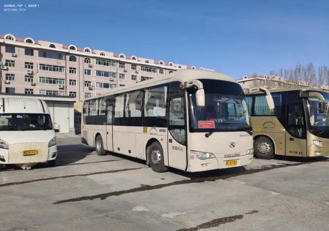 800BUS