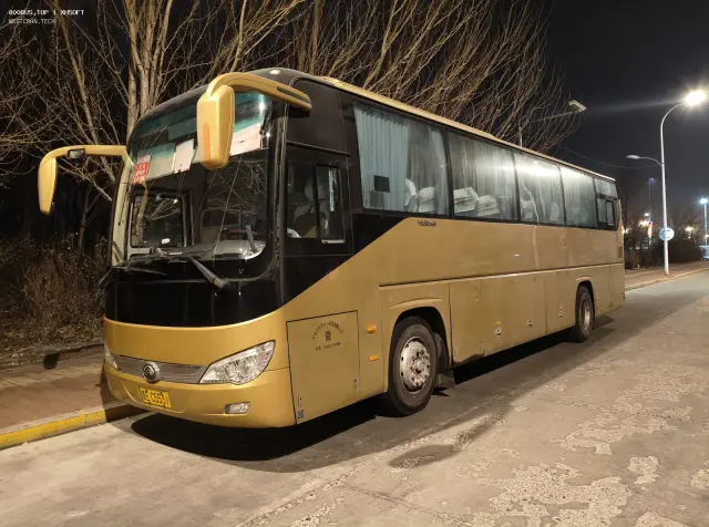 800BUS