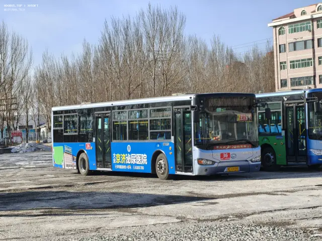 800BUS