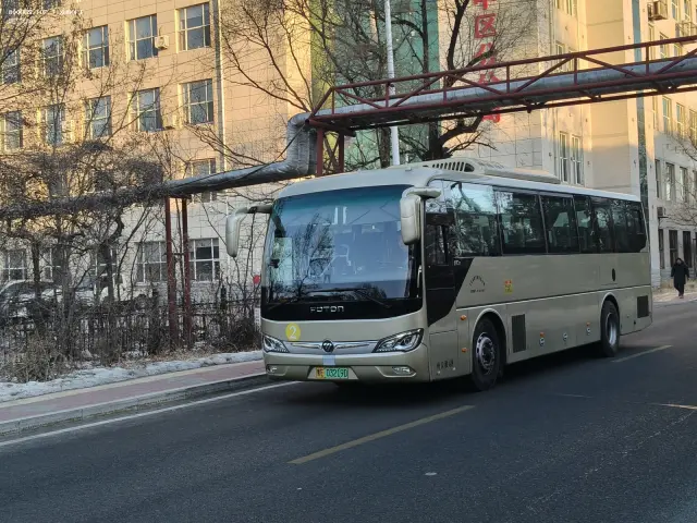 800BUS
