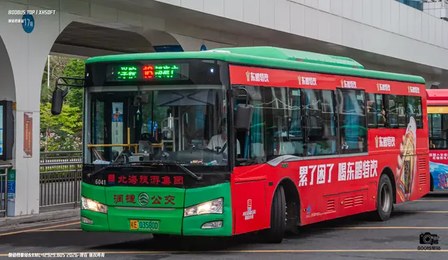 800BUS