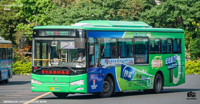 800BUS
