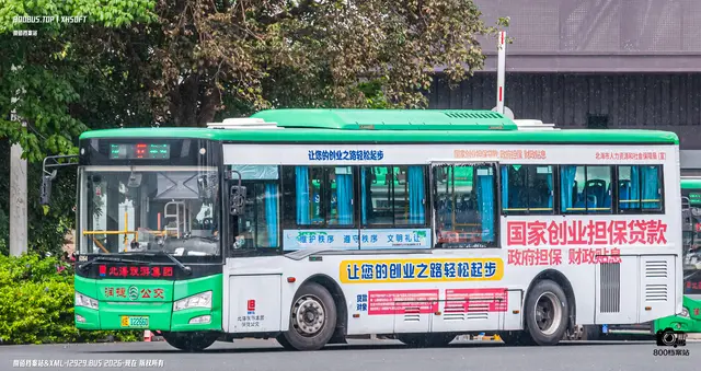 800BUS