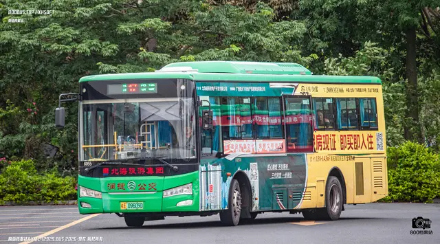 800BUS
