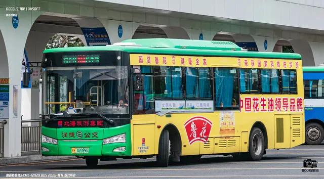 800BUS