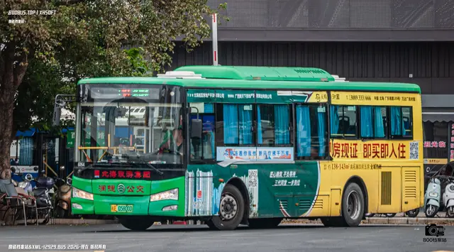 800BUS