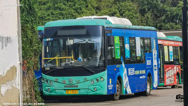 800BUS