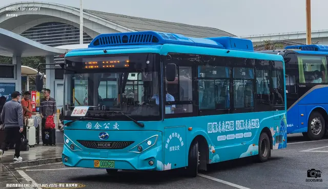 800BUS