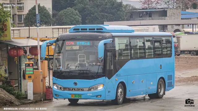 800BUS