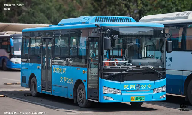 800BUS