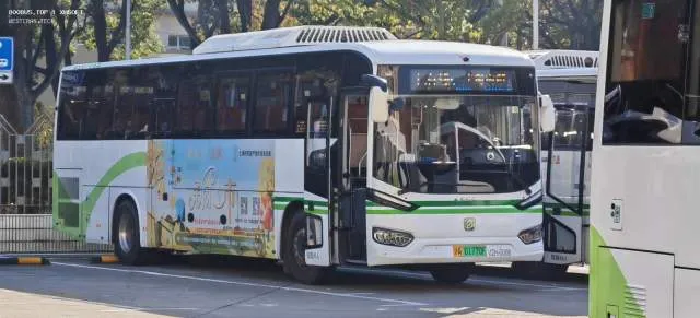800BUS