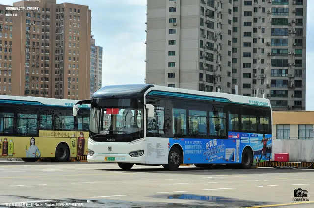 800BUS