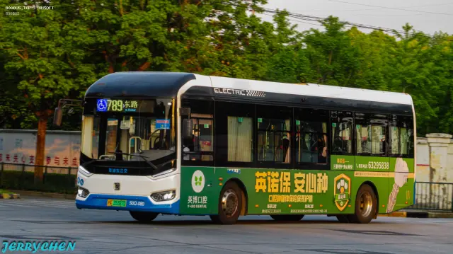 800BUS