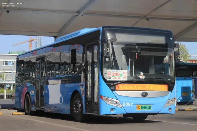 800BUS