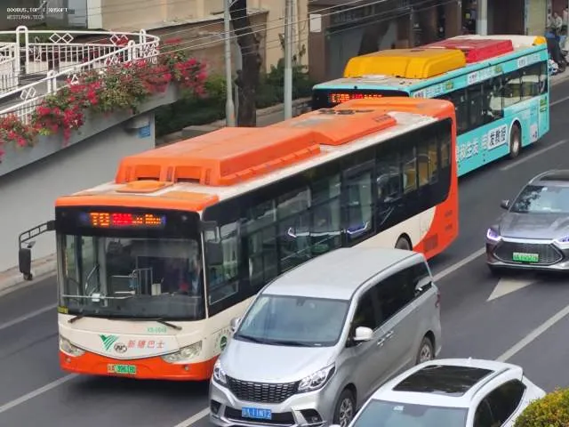 800BUS
