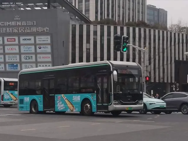 800BUS