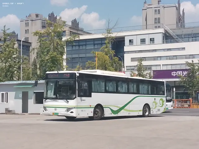 800BUS