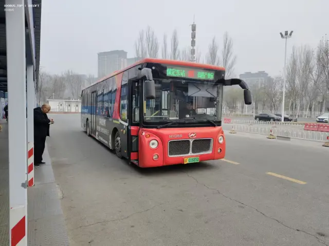 800BUS