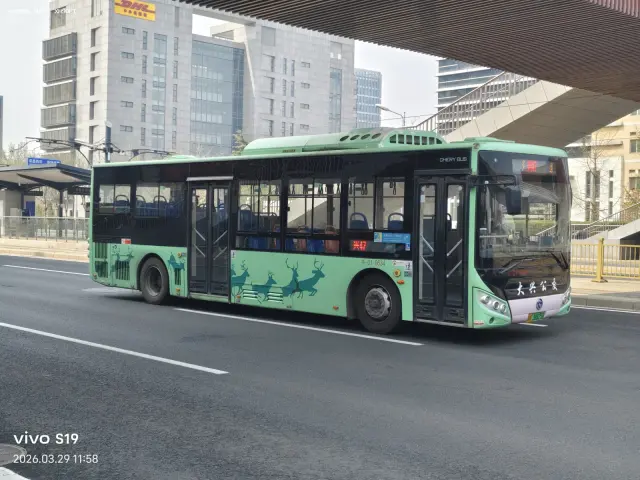 800BUS