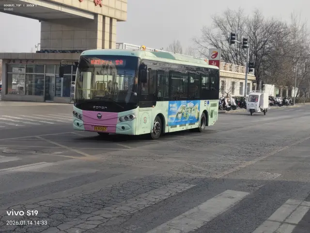 800BUS