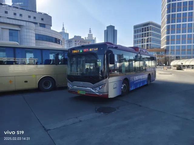 800BUS