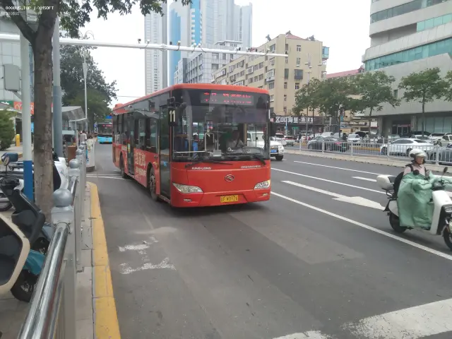800BUS