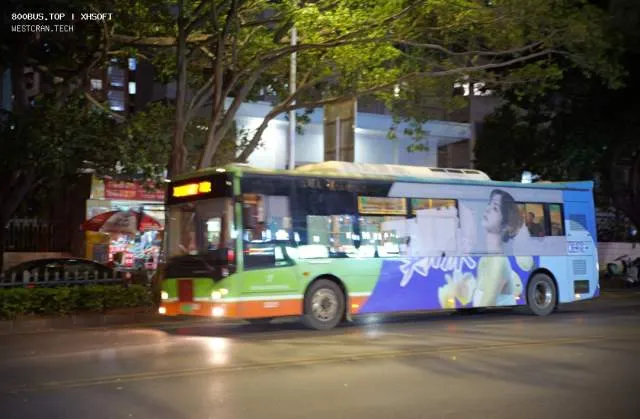 800BUS