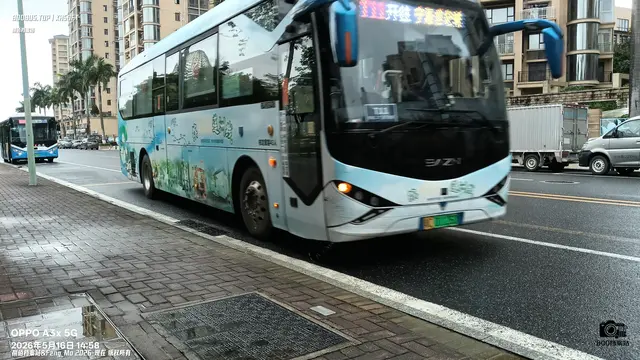 800BUS