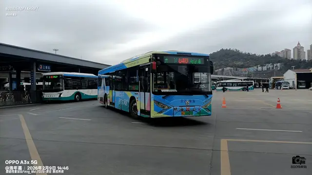 800BUS