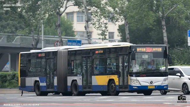 800BUS