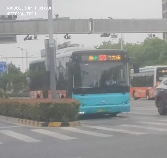 800BUS