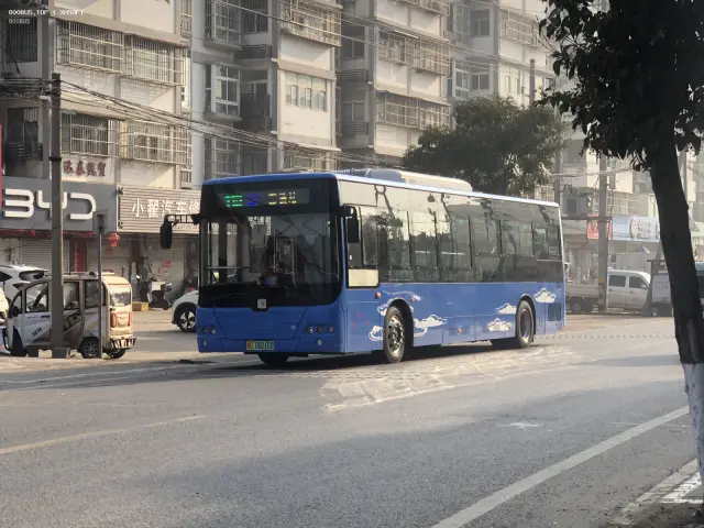 800BUS