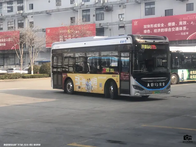 800BUS