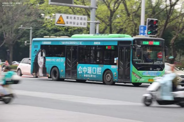 800BUS