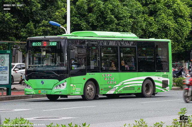 800BUS