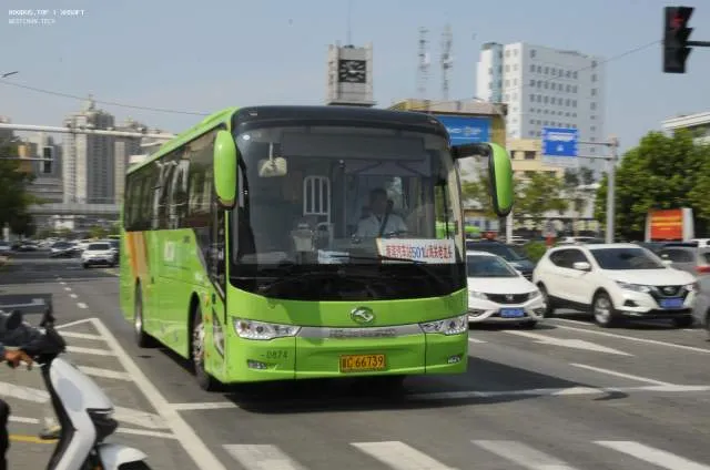 800BUS