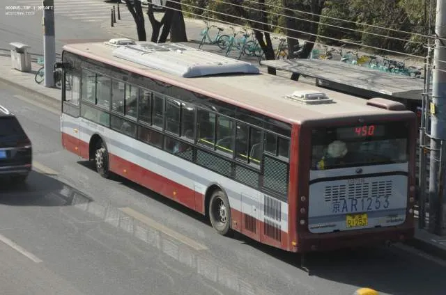 800BUS