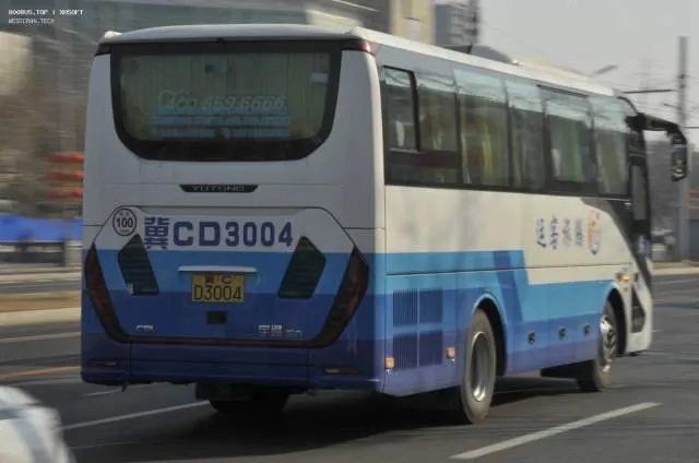 800BUS