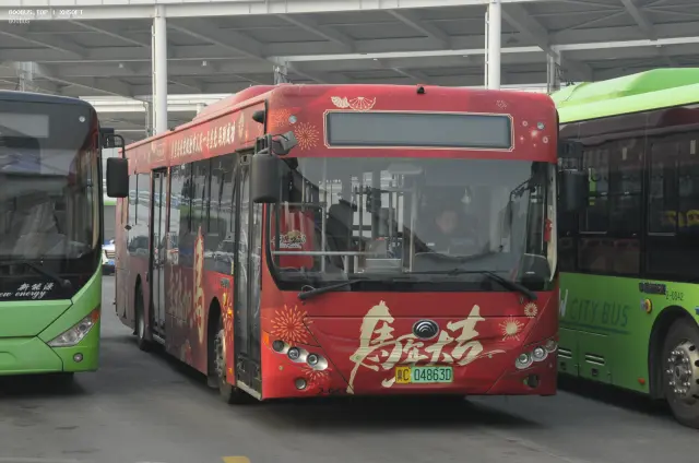 800BUS