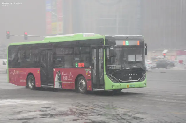 800BUS