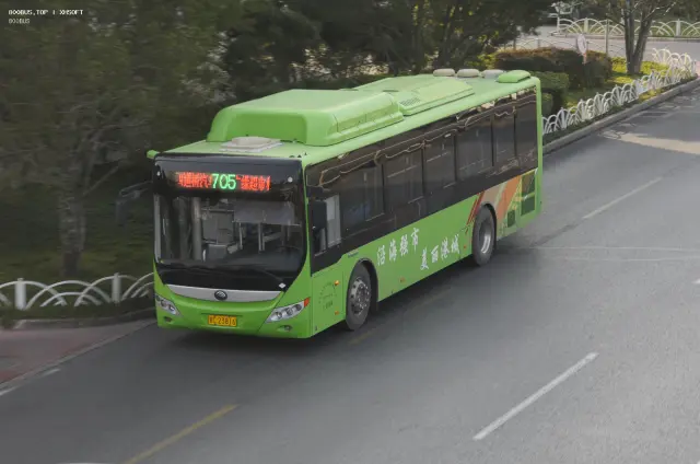 800BUS