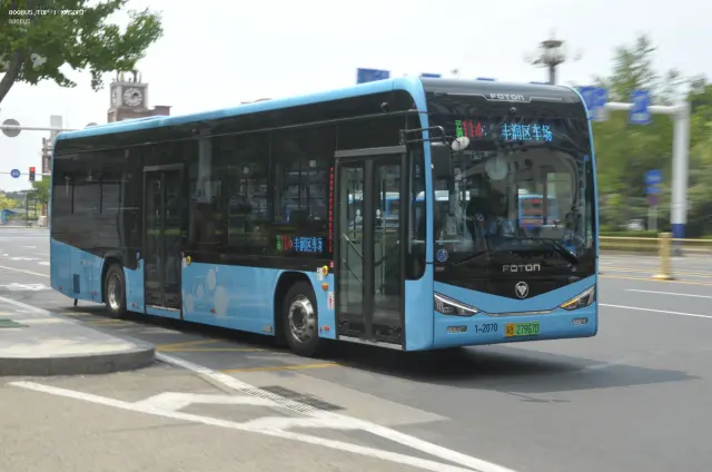 800BUS