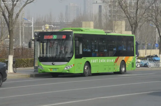 800BUS