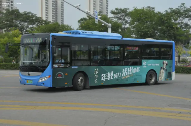 800BUS