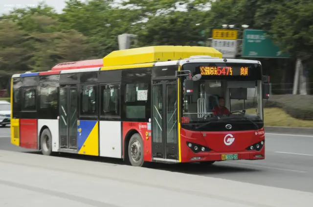 800BUS