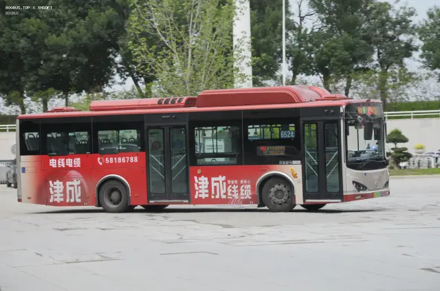 800BUS