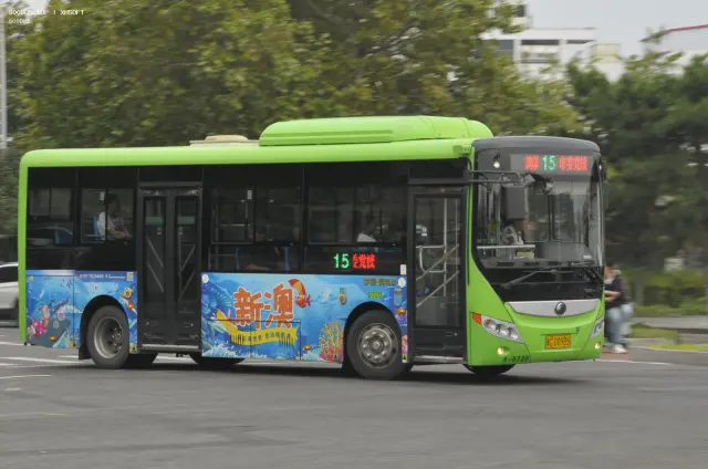 800BUS